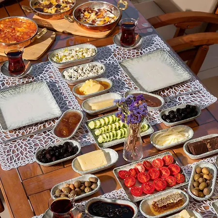 Hotel Eflin Haus Historical Place & Monument