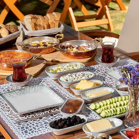 Hotel Eflin Haus Historical Place & Monument 3*