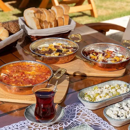 Eflin Haus Historical Place & Monument Cesme