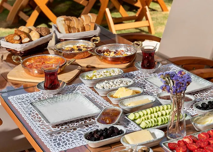 מלון Eflin Haus Historical Place & Monument 3*