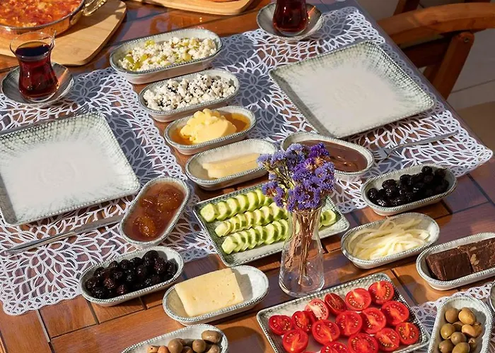 מלון Eflin Haus Historical Place & Monument